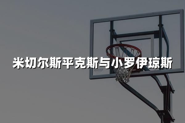 米切尔斯平克斯与小罗伊琼斯