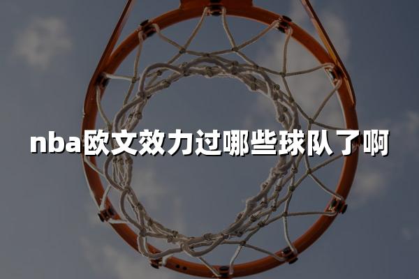 nba欧文效力过哪些球队了啊