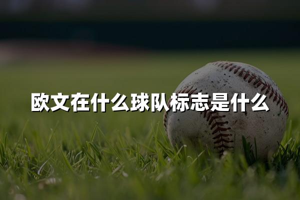 欧文在什么球队标志是什么