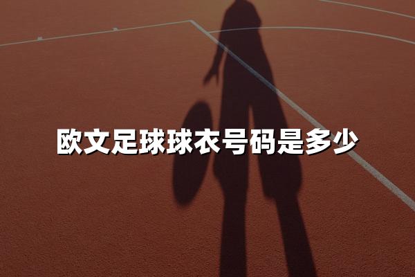 欧文足球球衣号码是多少