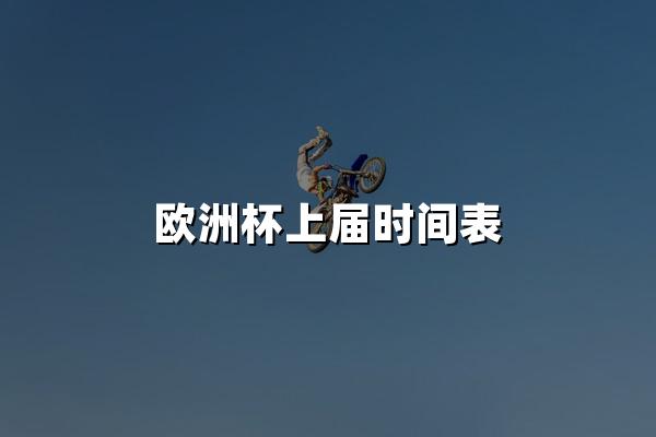 欧洲杯上届时间表