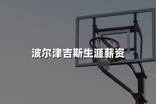 波尔津吉斯生涯薪资