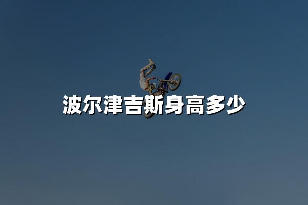 波尔津吉斯身高多少