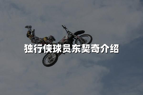 独行侠球员东契奇介绍