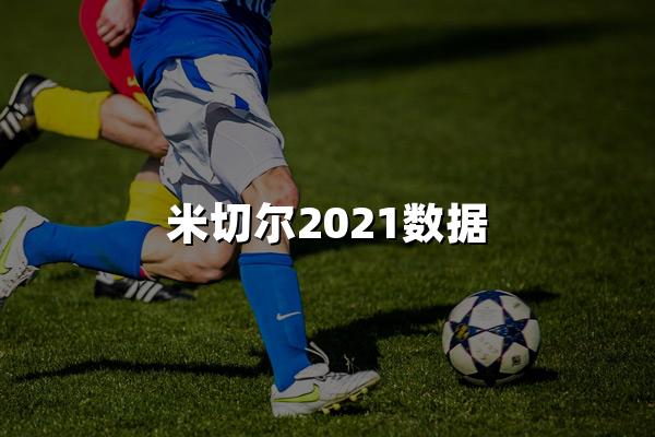 米切尔2021数据