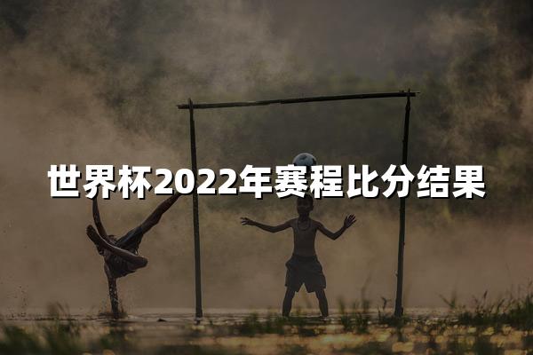 世界杯2022年赛程比分结果