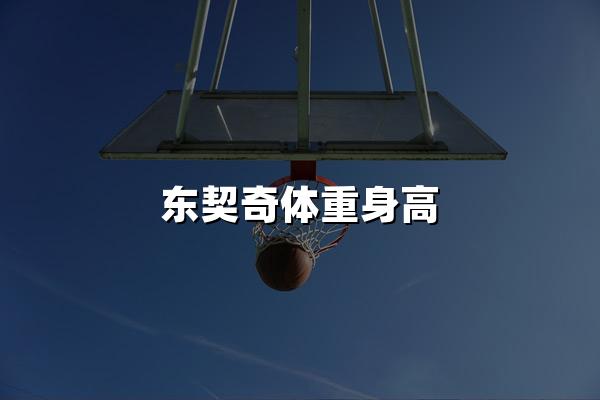 东契奇体重身高