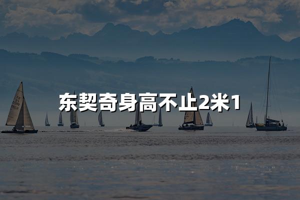 东契奇身高不止2米1