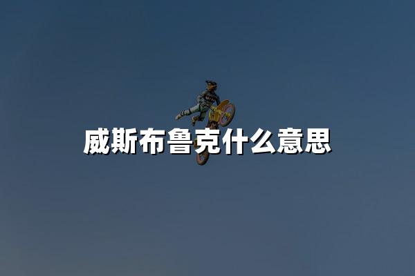 威斯布鲁克什么意思